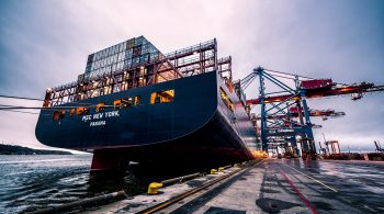 pexels-albin-berlin-906982