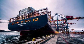 pexels-albin-berlin-906982